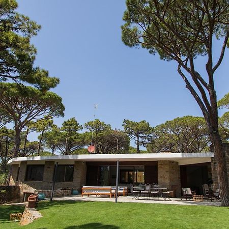 Villa Roccapini Кастильоне дела Пеская Екстериор снимка