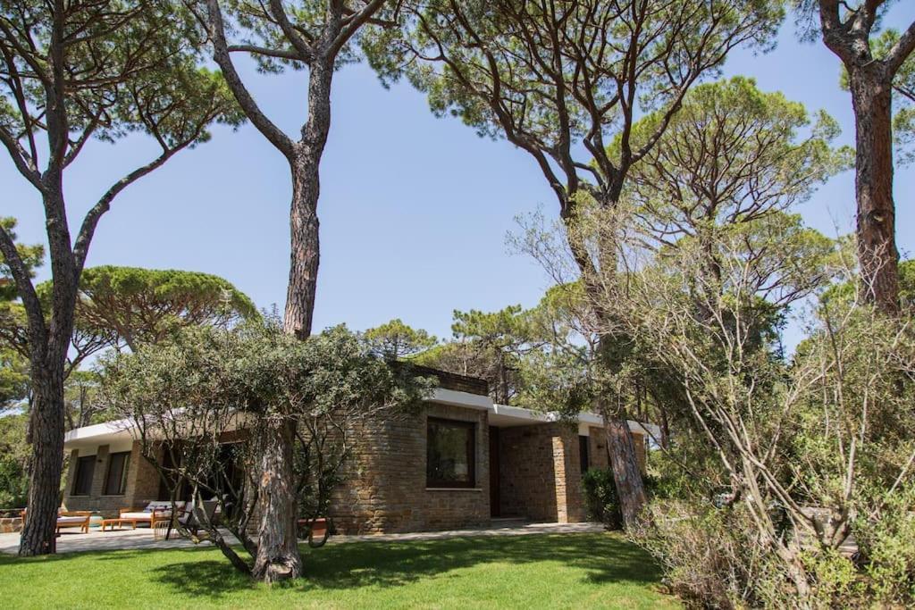 Villa Roccapini Кастильоне дела Пеская Екстериор снимка